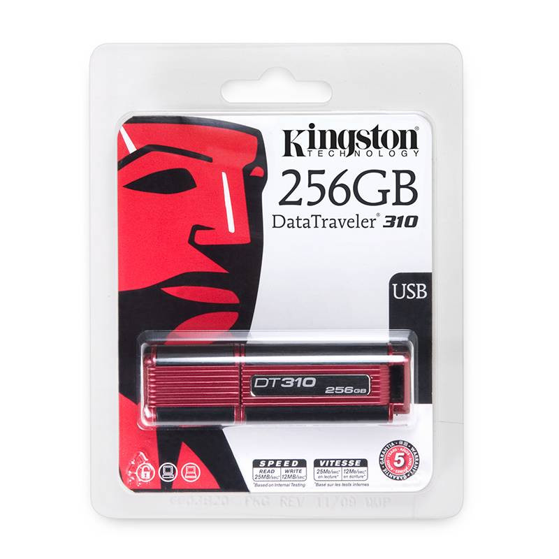 Флешка 256гб. Kingston DATATRAVELER 256gb. Kingston USB 256. Kingston 256gb USB. Флешка Кингстон 256 ГБ.